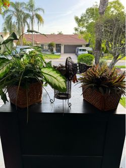 Greenery