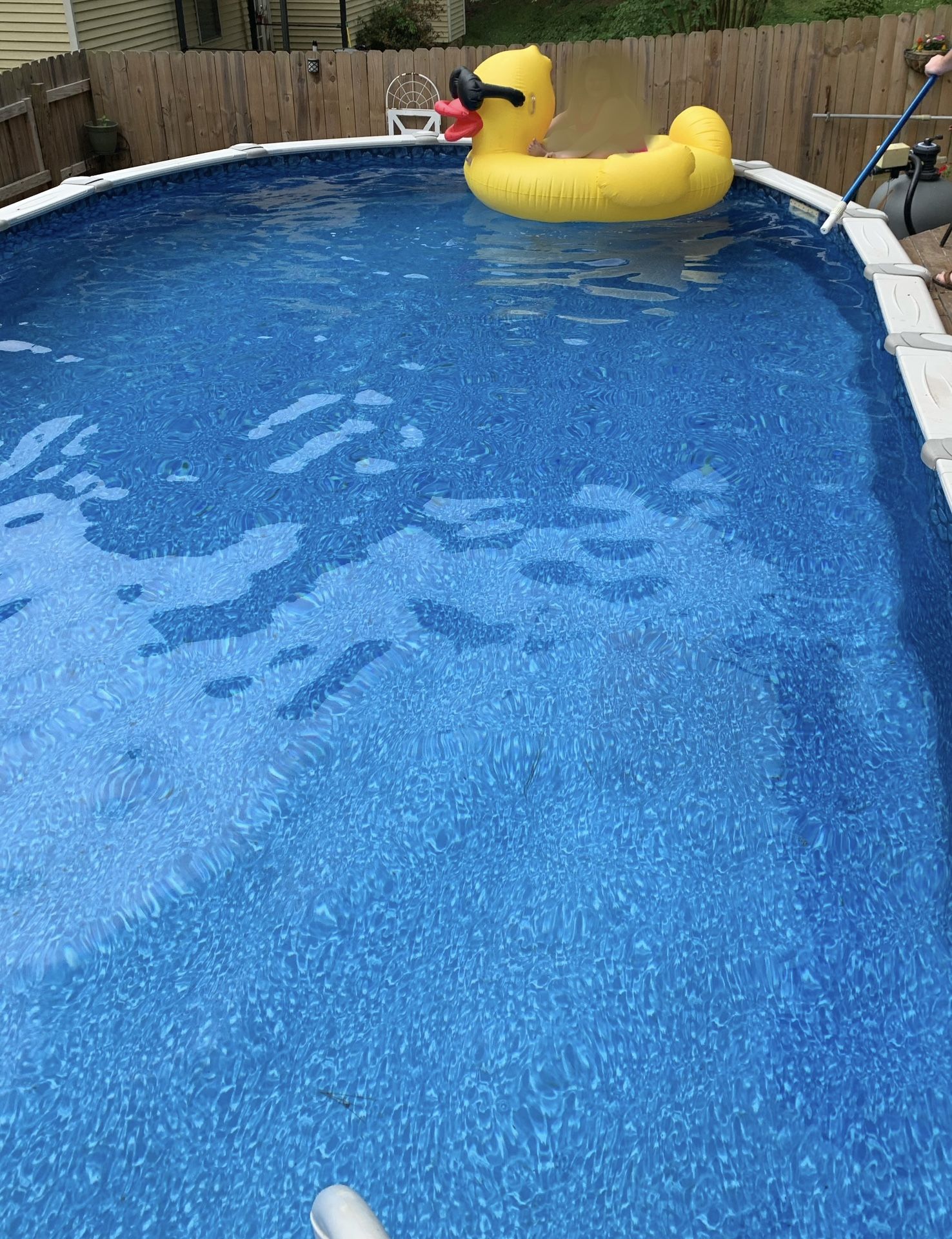 Family Leisure Above Ground Pool 15 X 30 oval