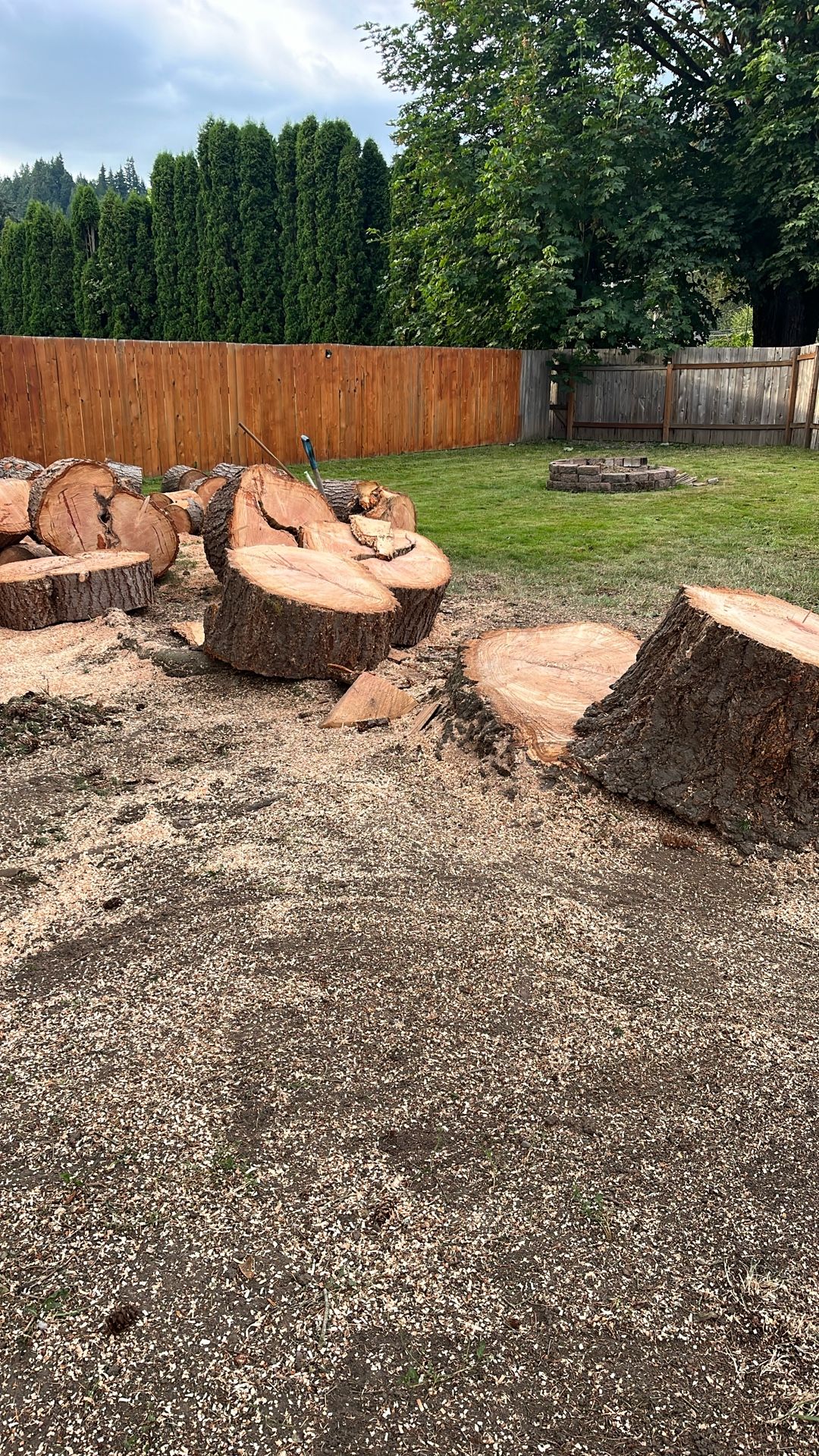 Firewood