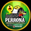 Evento Gratuitos Y Bandas