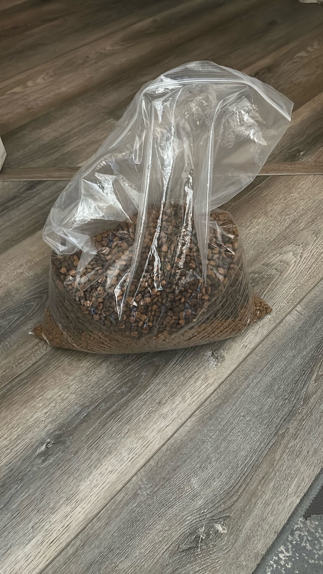 🐈⬛ 🐈 *****FREE DRY CAT FOOD*****