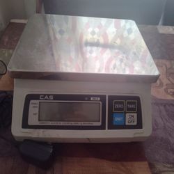 Scale 