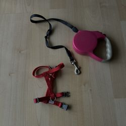 Bearded dragon Harness And Leash