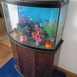 Aquarium 36 Gallon With Stand & Accessories