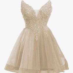 Party Homecoming XV Dress 