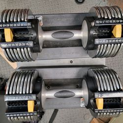 5-50 Pounds Interchangeable Golds Gym Dumbbells 