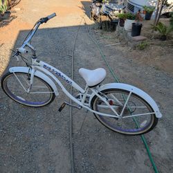 Greenline Beach Cruiser 