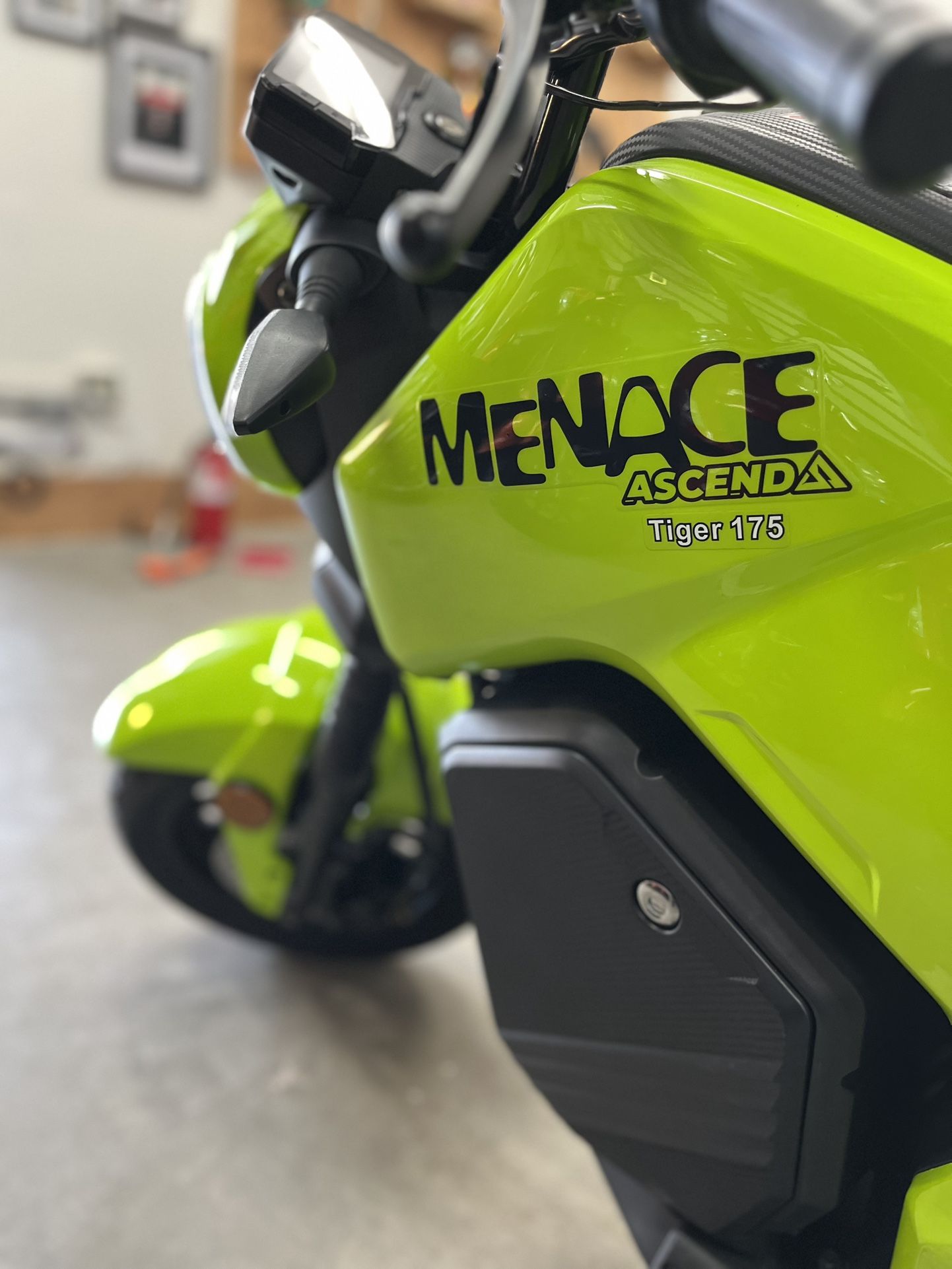 2025 Ice Bear Tiger 175cc