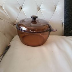 Olla Vision 