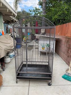 Large bird cage