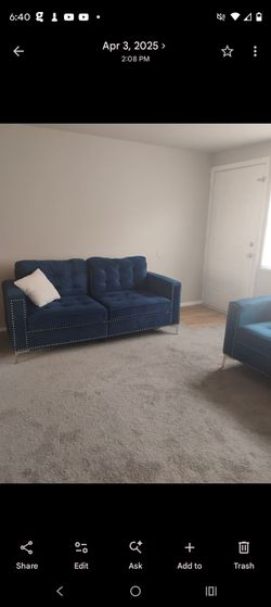 Blue Velvet 💙 Sofa & Loveseat