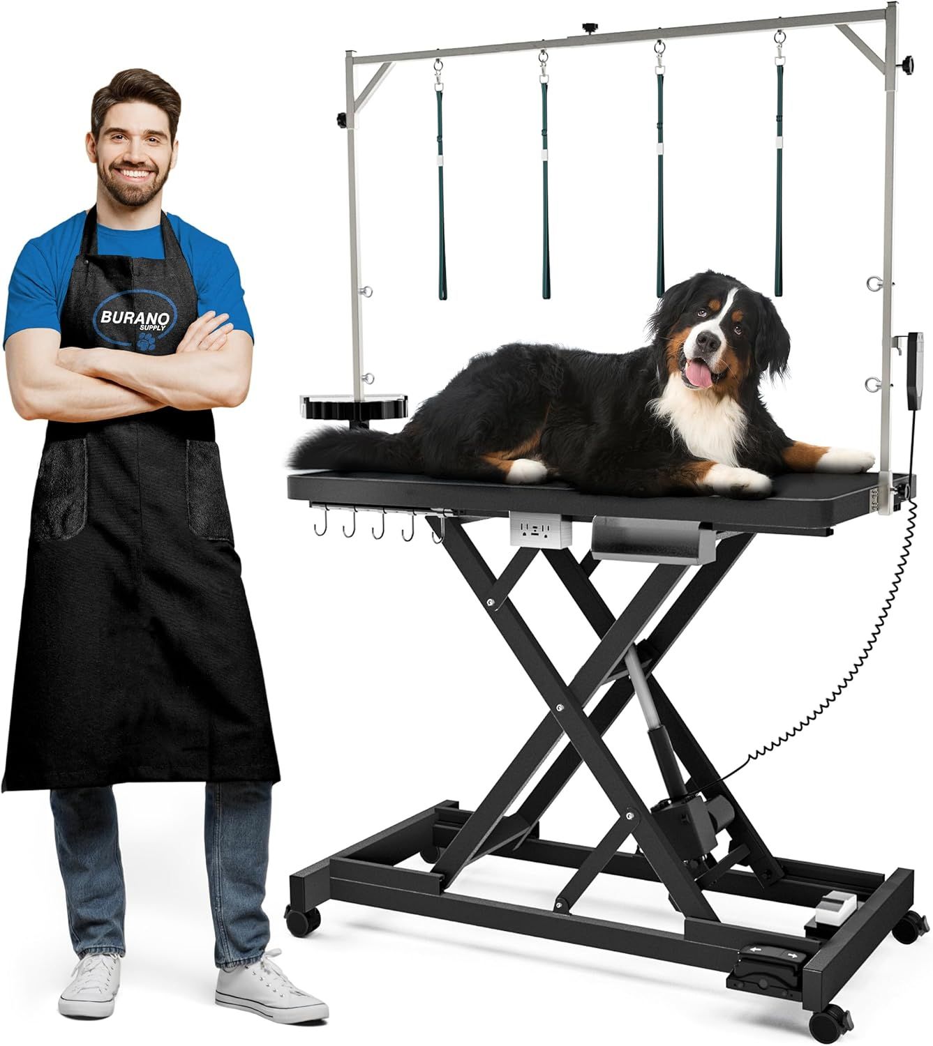 Professional Super Low-Step Electric Dog Grooming Table 49.2"