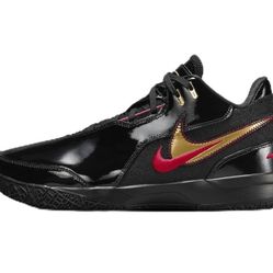 Lebron James Limited Edition Nikes (Size 10)
