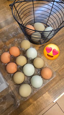 Pasture raised eggs 🥚