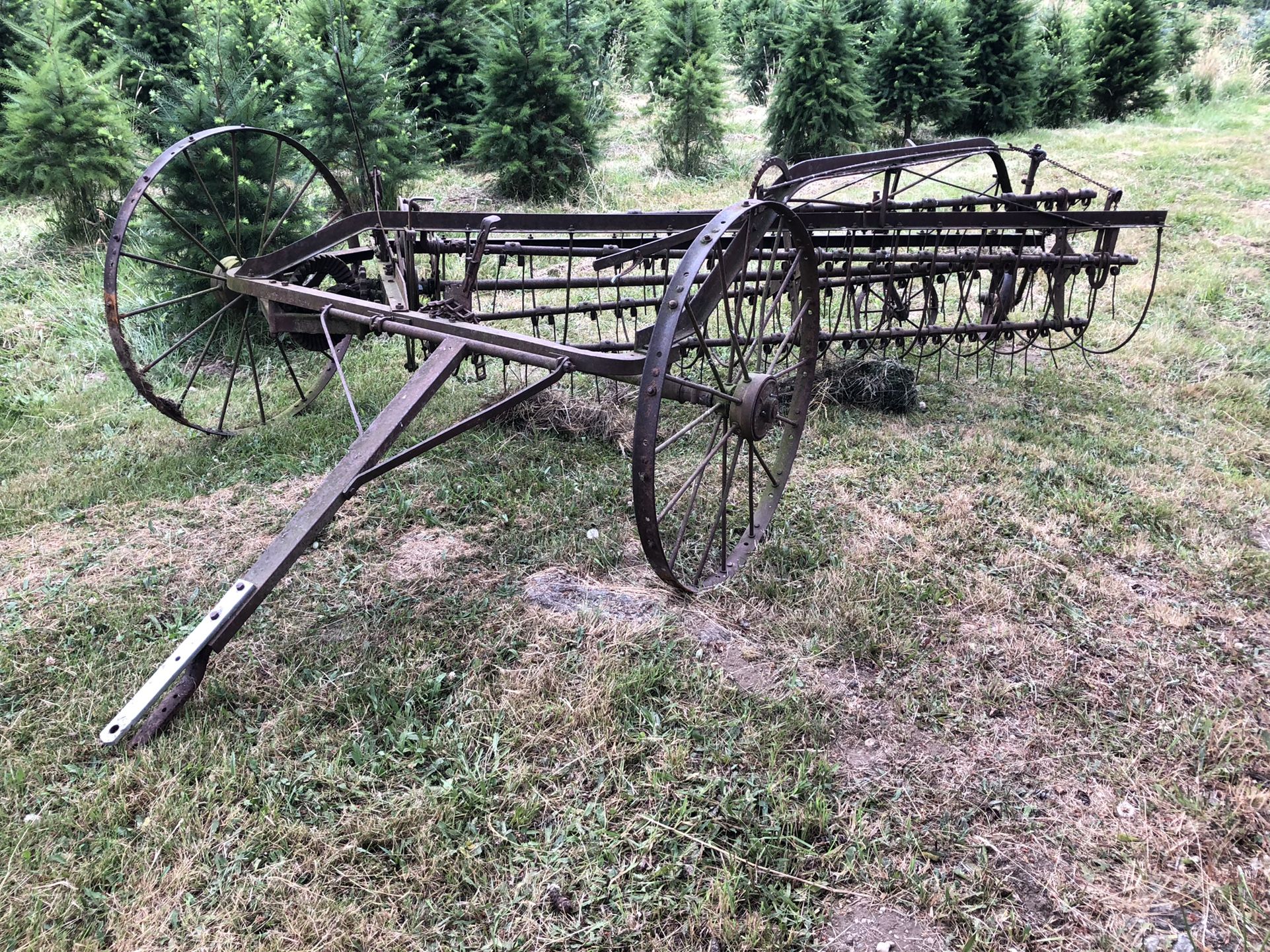Side delivery Hay Rake
