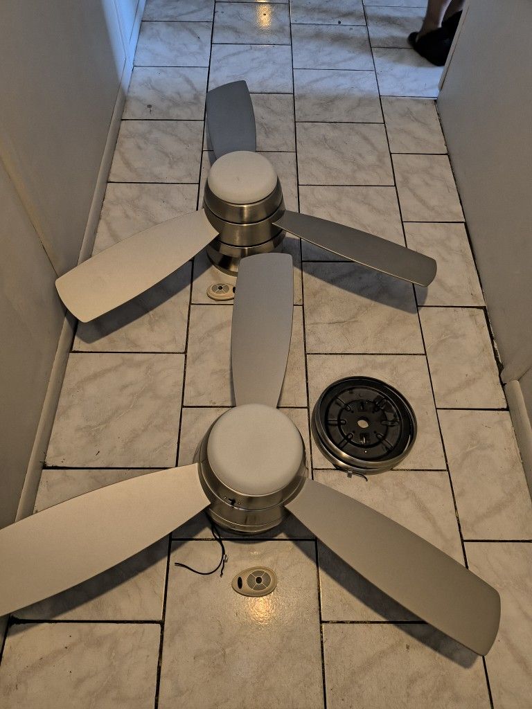 Ceiling Fans
