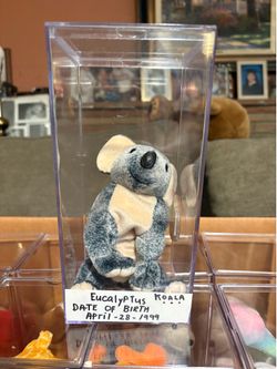 Bennie Baby Eucaluptus Koala