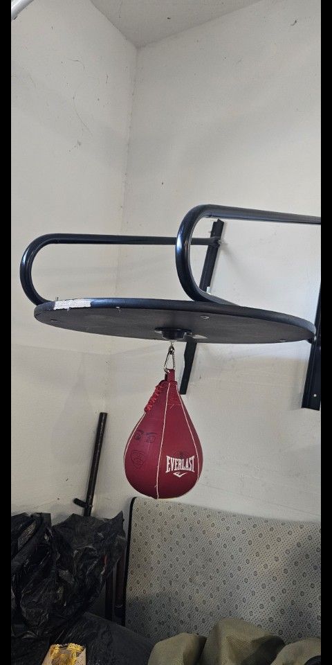 Everlast Speed Bag