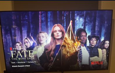 5 Month Old Roku 75 Inch Tv