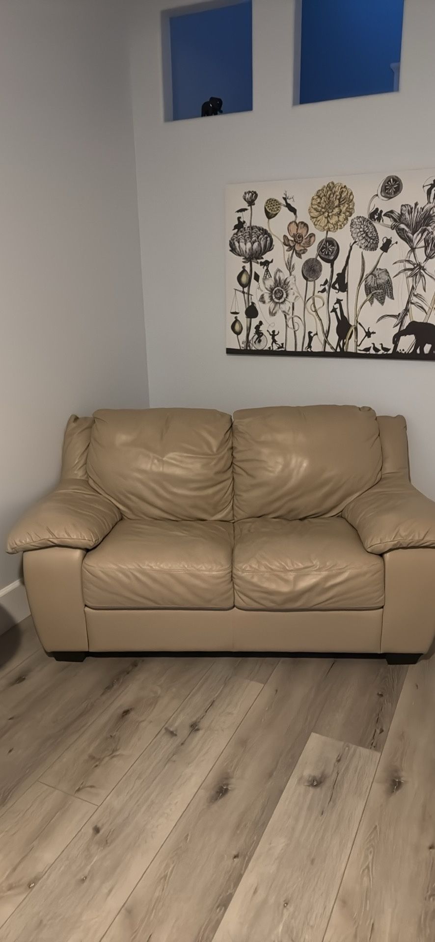 Leather Couch