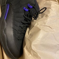 Jordan 12 Grape Concord