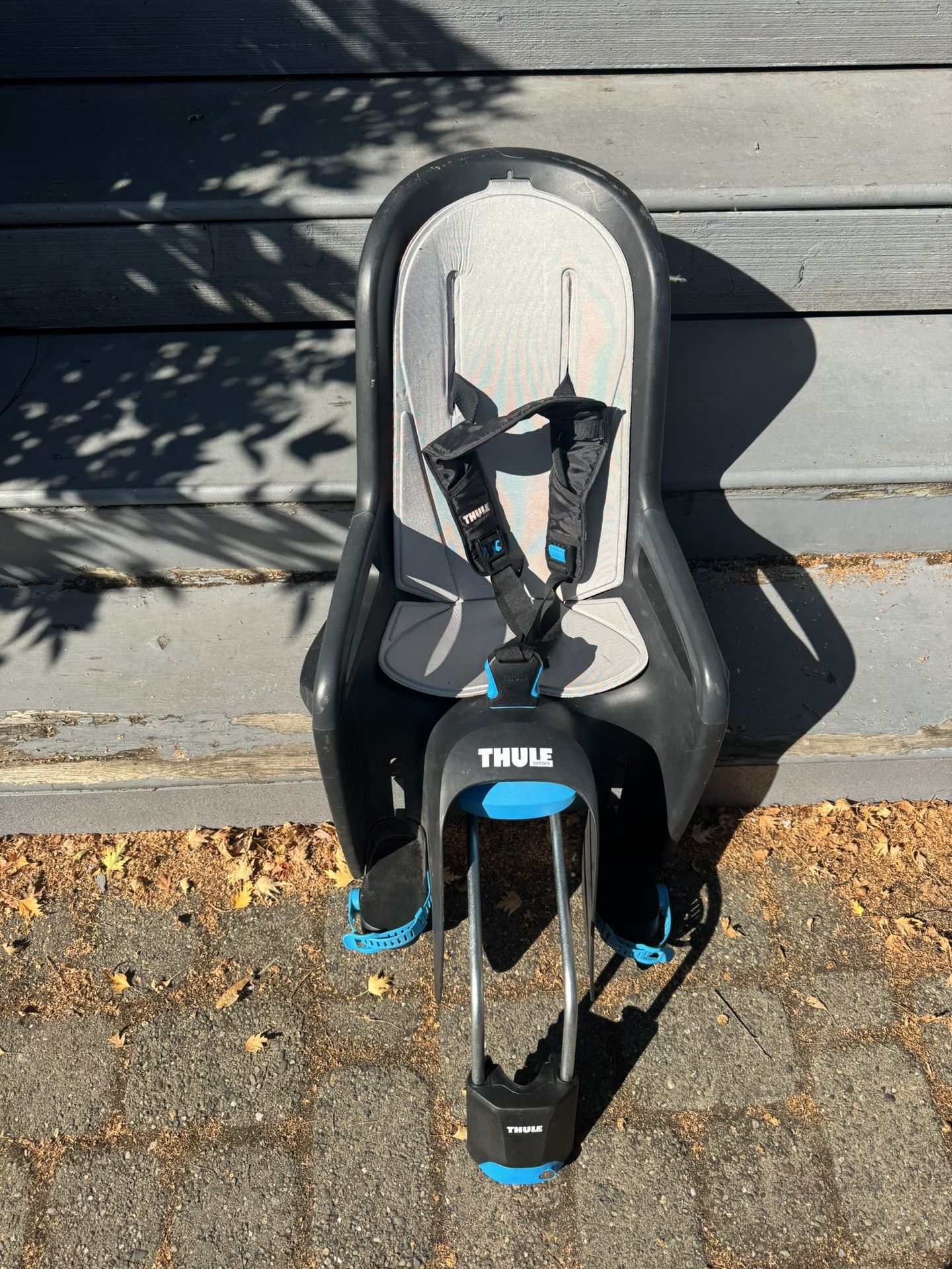 Thule kids Ride Along Bike Seat