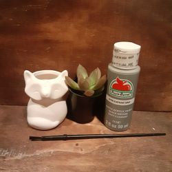 DIY Succulent Planter Kit