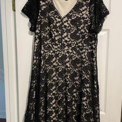 Torrid Size 2 Black Lace Overlay A Line Dress
