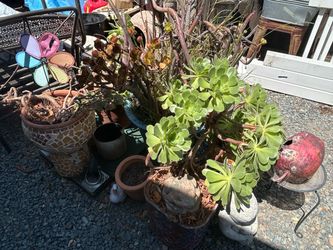 Seven different piles each pile is $40