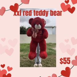 Valentines Day Large Teddy Bear Huge Flower Roses
