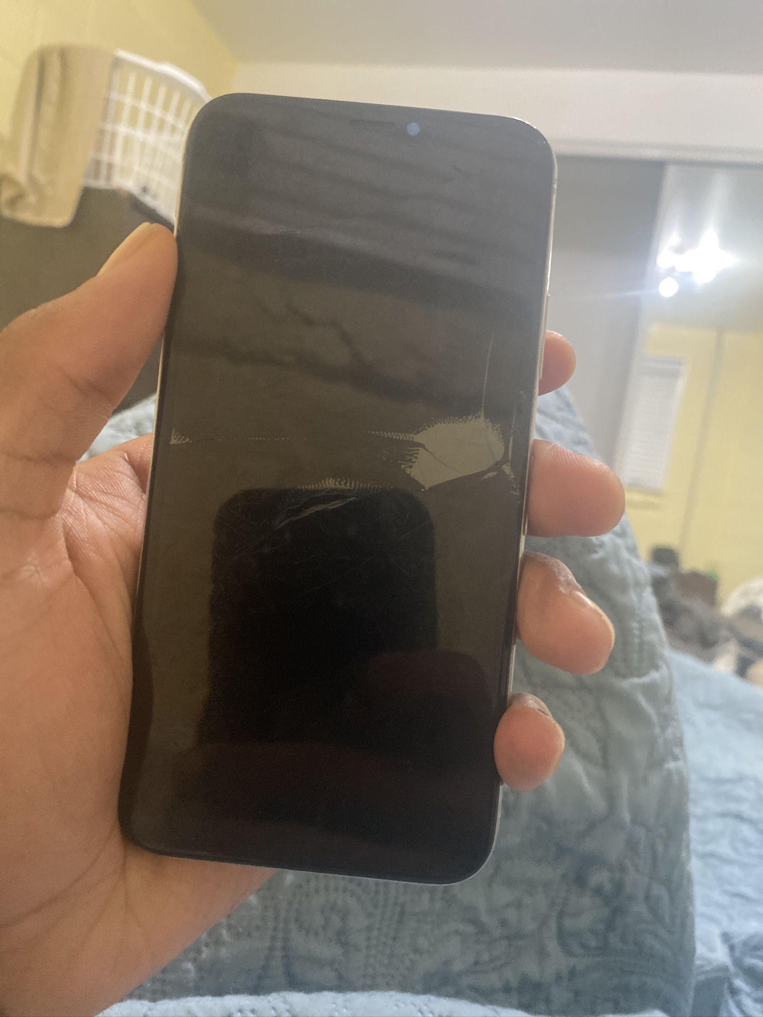 iPhone X