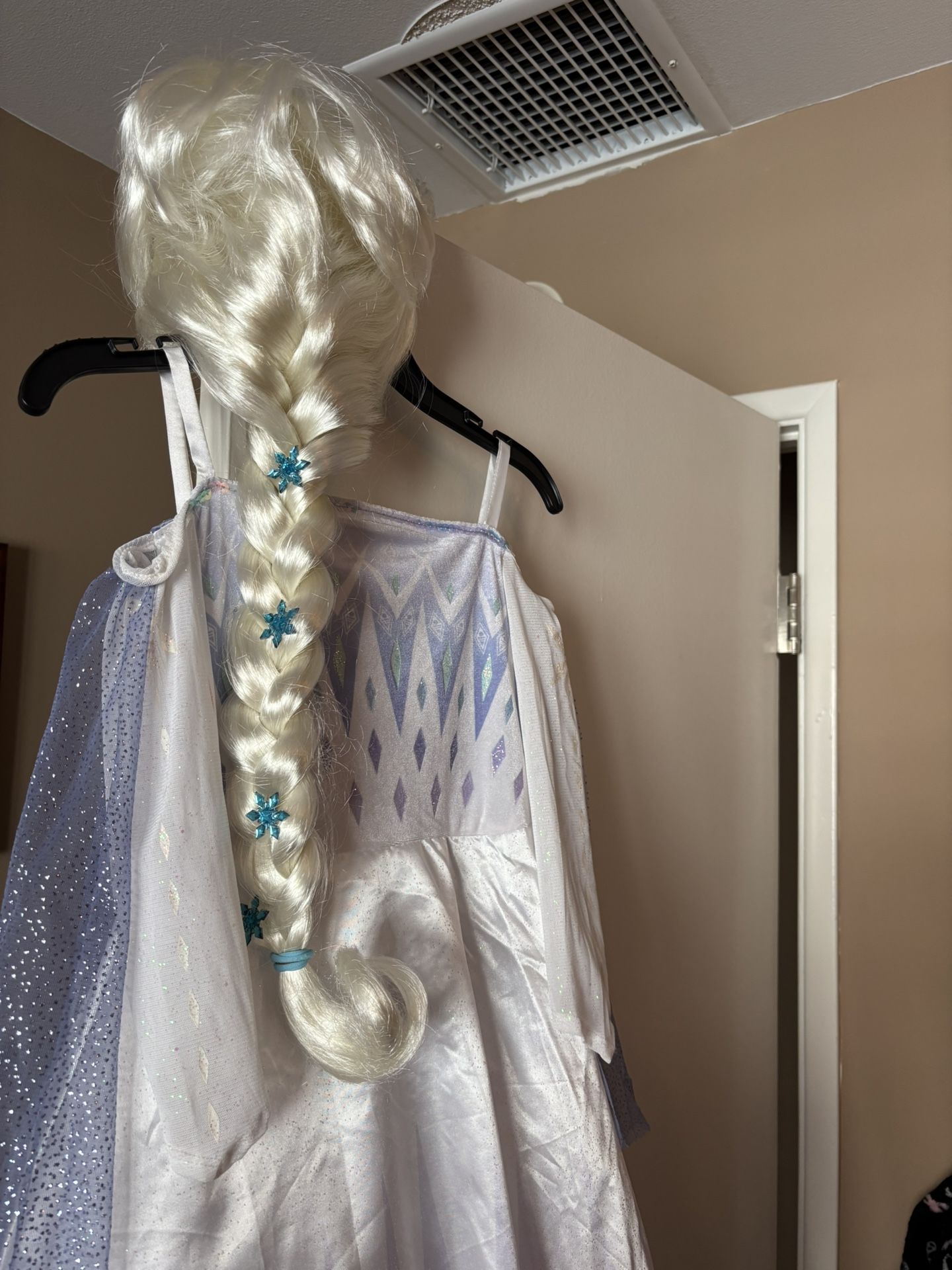 Elsa Costume With Nice Wig 