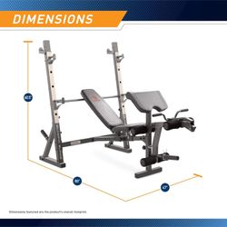 Weight Bench Full Body Workout 