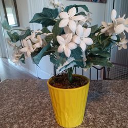 Decorative, Artificial, Plant, Plants 