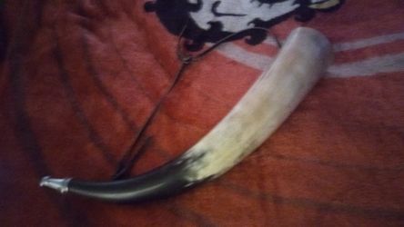 Old horn
