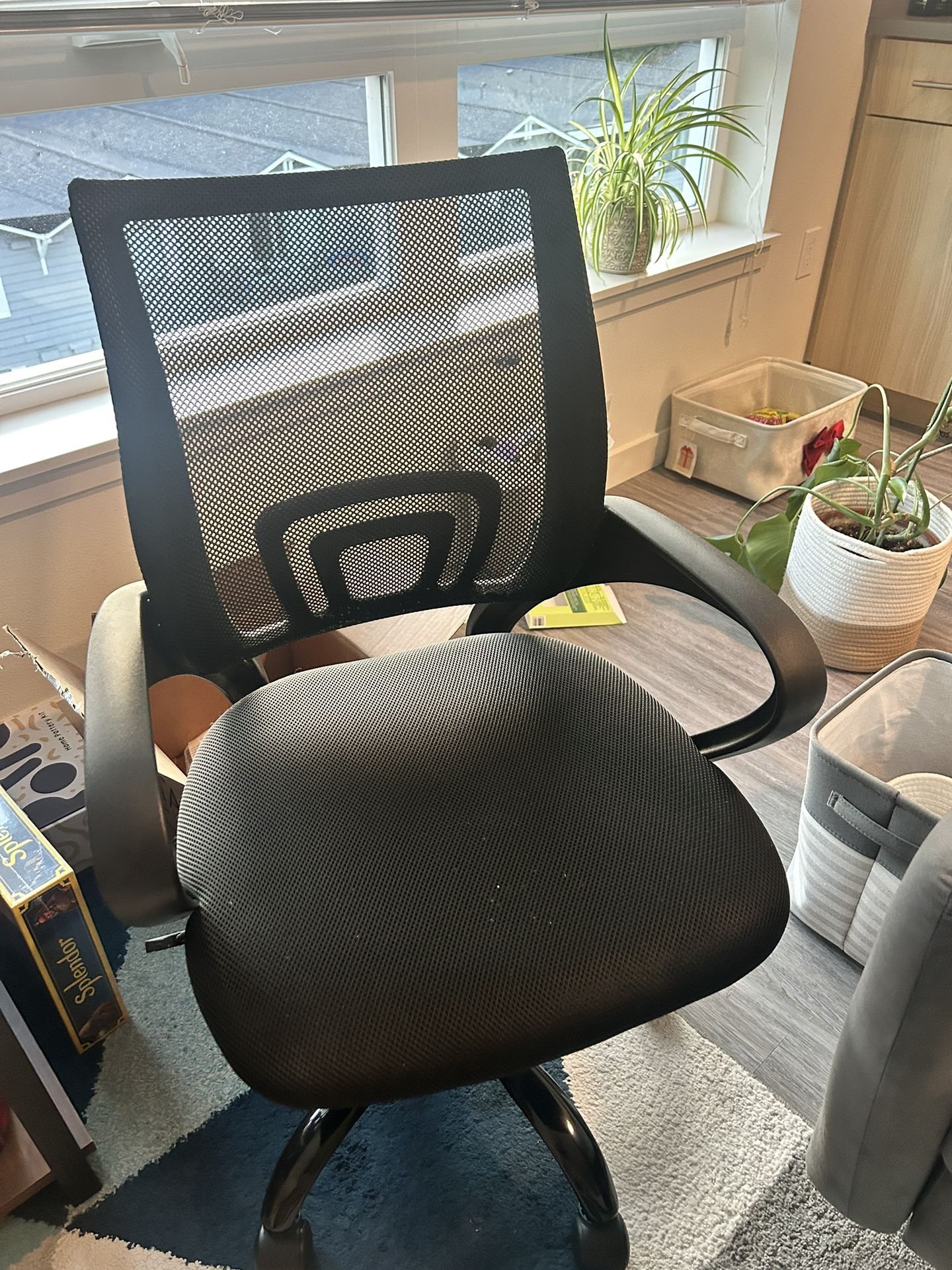 Standard Office Chair