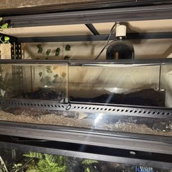 Reptile Enclosure