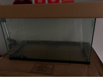 Fish tank 10G
