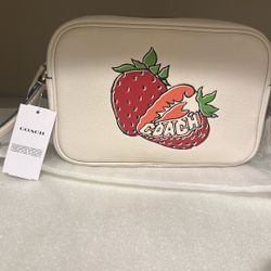 Coach Purse New With Tag