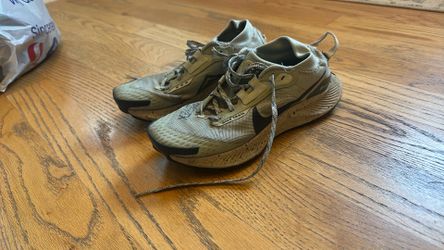 Women’s 7.5 Nike Pegasus Trail GORE-TEX shoes