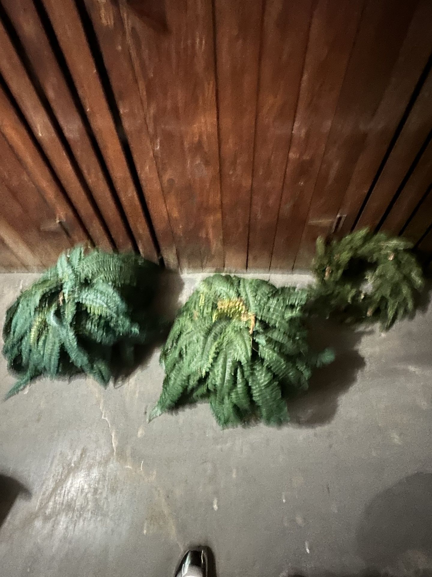 Artificial hanging Plants