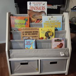 Kids Book Shelf / Library 
