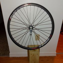 Bike Wheel  