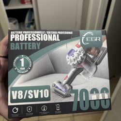 Professional Battery Replacement 