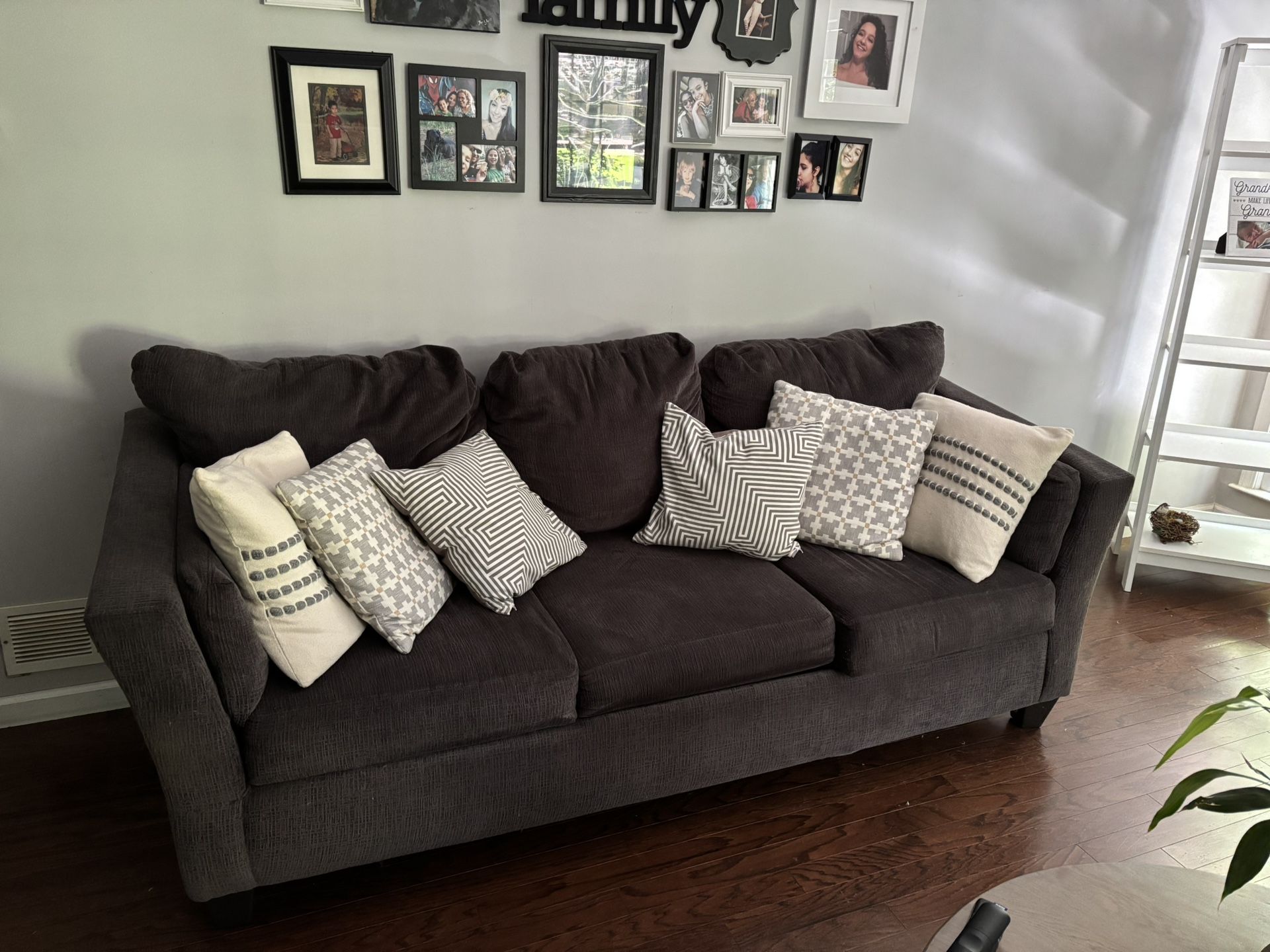 Plush Sofa with Matching Chair