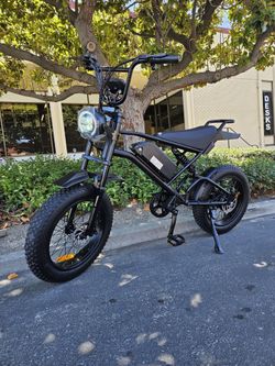 20 inch fat tire large lcd screen 750w motor 48V  battery 28MPH electric bicycle