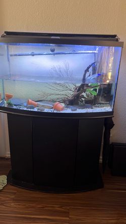5 gallon fish tank