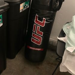 UFC Punching Bag 
