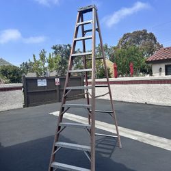 Werner 10ft Ladder 