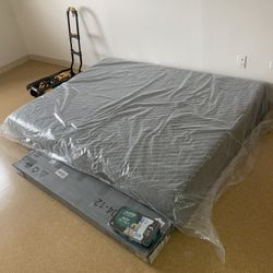 New Queen Size Bed That Comes With A New Bamboo Bed Frame